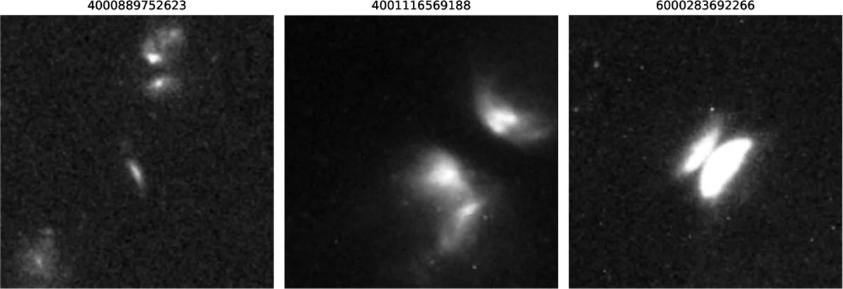 The three training images: edge-on protoplanetary disks